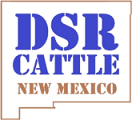 DSR-CATTLE-LOGO-Transparent-medium SO Services - Logo featuring "DSR Cattle" in blue and "New Mexico" in brown, with an outline of the state of New Mexico in the background.