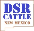 DSR-CATTLE-LOGO-Transparent-medium SO Services - Logo featuring "DSR Cattle" in blue and "New Mexico" in brown, with an outline of the state of New Mexico in the background.